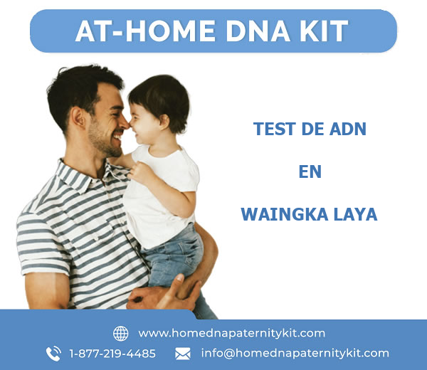 Test de ADN en Waingka Laya